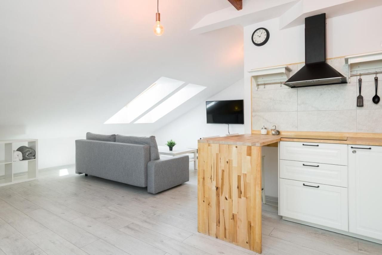 Apartment Alexander كراكوفيا المظهر الخارجي الصورة